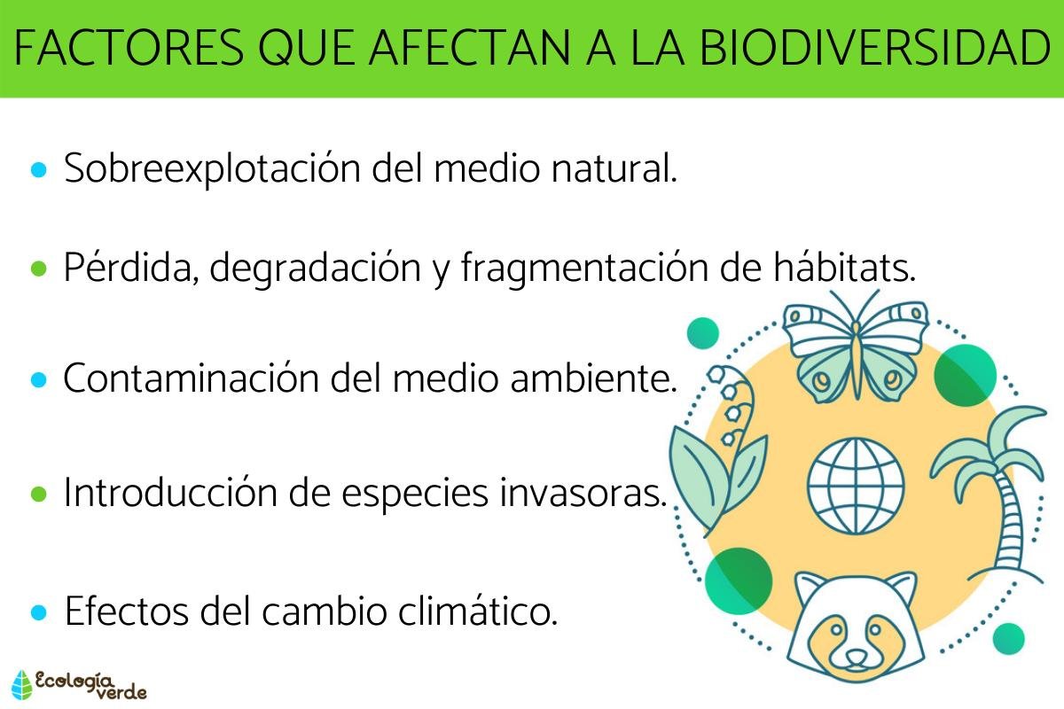 Desafíos Para La Biodiversidad Principales Factores Amenazantes 7024