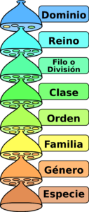 Diferencia entre especie y género en la clasificación biológica