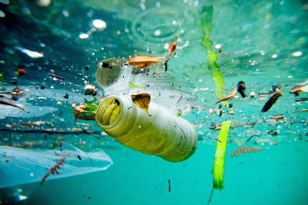 Amenazas para los ecosistemas marinos: ¿cuáles son las principales?