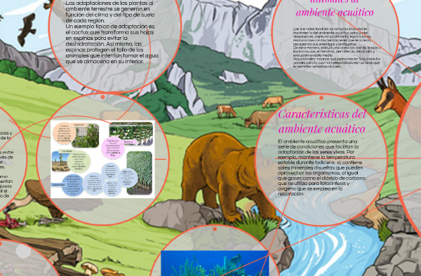 Biodiversidad en acción: adaptaciones de seres vivos a diferentes ambientes