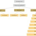 Clasificación de los seres vivos: ¿Cómo se agrupan y categorizan?