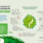 Conservación de especies en peligro y su impacto en el ecosistema