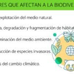 Desafíos para la biodiversidad: principales factores amenazantes