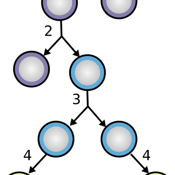 Diferenciación vs. especialización celular: ¿Cuál es la diferencia?