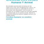 Diferencias cerebro humano vs animales: perspectiva científica