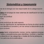 Diferencias entre taxonomía y sistemática en biología: ¿Cuál es la distinción?