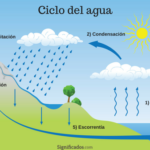 El ciclo del agua: proceso vital para el equilibrio de la naturaleza