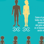 El papel de los genes en la herencia: su importancia y funcionamiento