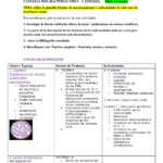 Enfermedades causadas por microorganismos: una visión general