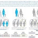 Explicación comprensible de la herencia genética y rasgos