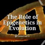 La epigenética: una mirada al papel fundamental en la biología
