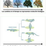 La evolución: su definición y sus mecanismos de acción