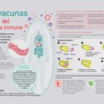 La función del sistema inmune: protección contra enfermedades y patógenos