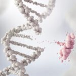 La genética y la salud: genes y enfermedades