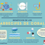 La importancia de los arrecifes de coral para la biodiversidad marina