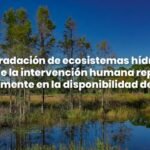 La importancia de los ecosistemas en la vida: una mirada fundamental