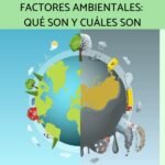 La importancia de los factores ambientales en el desarrollo biológico