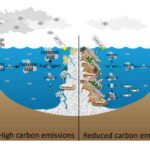 La influencia de los océanos en el cambio climático