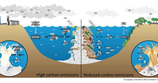 La influencia de los océanos en el cambio climático