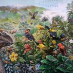 La relación entre evolución y diversidad de especies: un vínculo clave