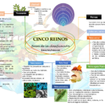 Los cinco reinos de la taxonomía: clasificación y características