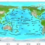 Origen y formación de las corrientes marinas: Impulsores y generación